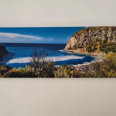 Daire Domus Pannella - Endless Summer *